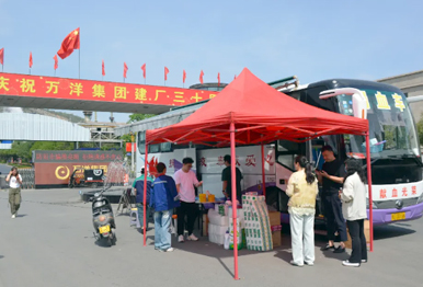 a1afa4b6c1271a59fc33ac55ba2819b9